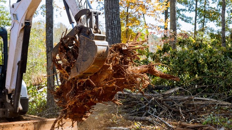 burns landclearing graphic
